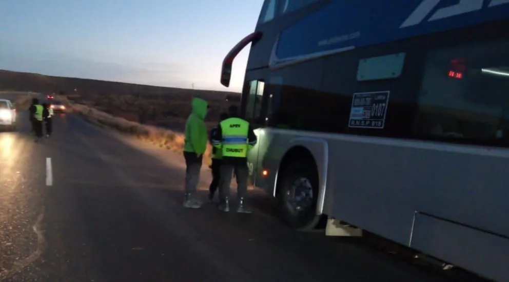 El chofer de colectivo que dio positivo en cocaína iba masticando hojas de coca