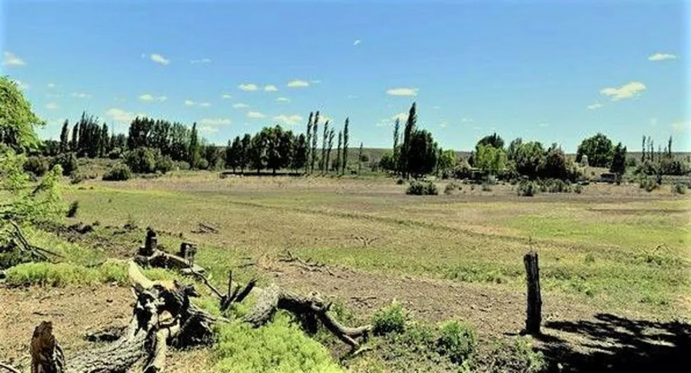 Roban chivas, ovejas y puertas de una chacra cercana a Gaiman y, en Trelew, las ruedas traseras a un vehículo