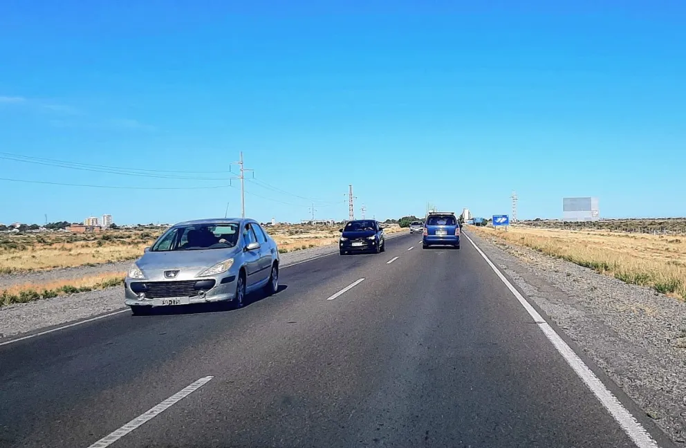 Funcionarias ilesas tras chocar cerca de Las Plumas con un guanaco en camioneta del Gobierno provincial