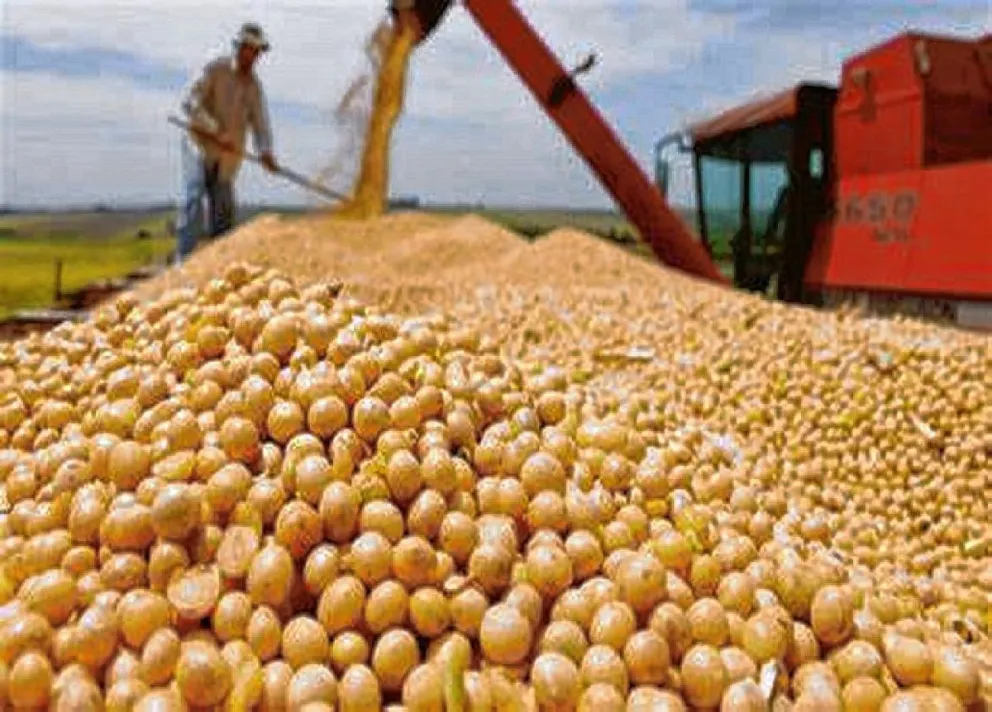 El Banco Central prohíbe acceder al mercado de cambio a productores que liquidaron a "dólar soja"