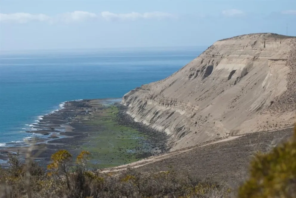 La Reserva Natural Punta del Marqués continúa con sus actividades de verano