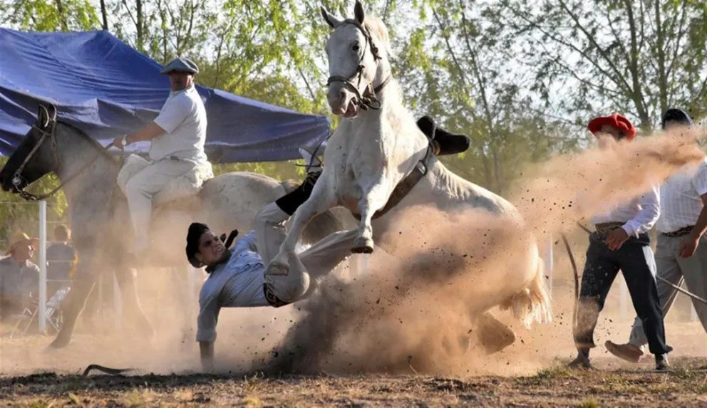 La polémica de la doma de caballos: “En la  jineteada, los accidentes siempre estuvieron”