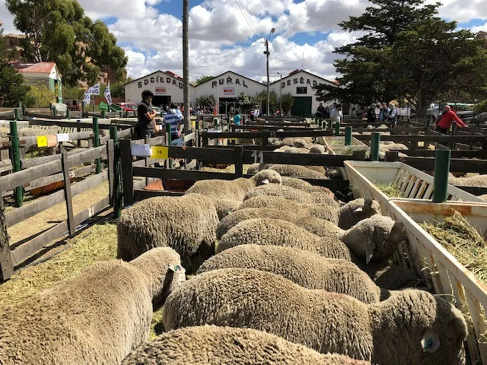 Se inicia una nueva edición de la Exposición Rural y Feria Ganadera en Puerto Deseado