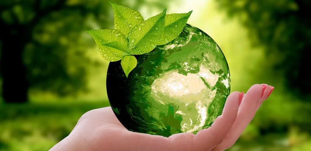 Hoy se conmemora el Día Mundial del Ambiente