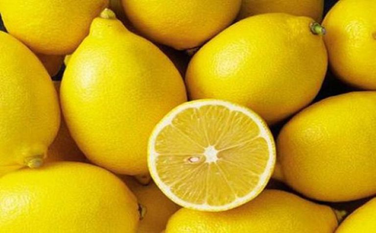 La Unión Europea reabrió su mercado a los cítricos orgánicos argentinos