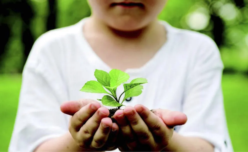 Jornadas de Educación Ambiental por el Día Mundial del Ambiente