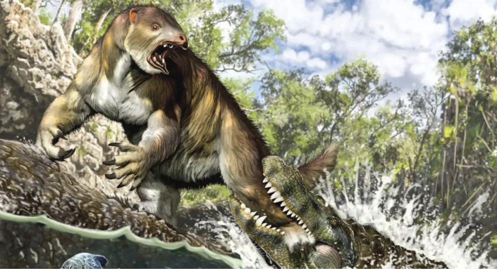 Un caimán más largo que un colectivo habitó en la Amazonía peruana