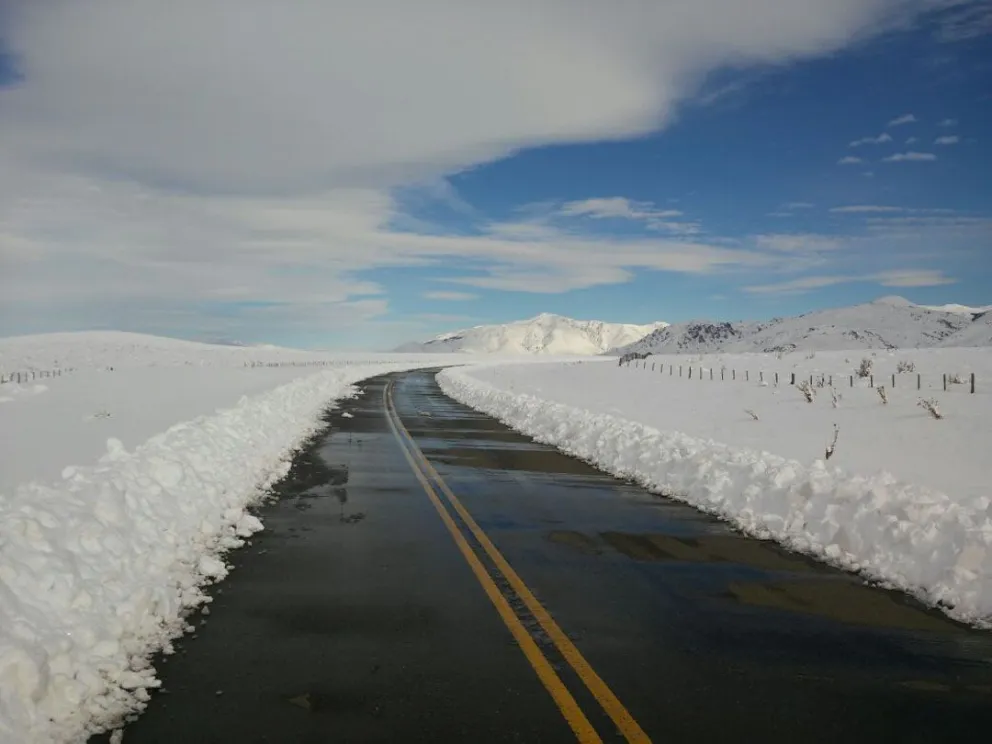 Día del Camino y la Educación Vial: Casi un siglo de constante capacitación en materia vial para la ciudadanía argentina