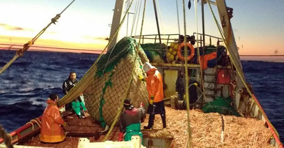 Pobreza y descarte de pescados al mar