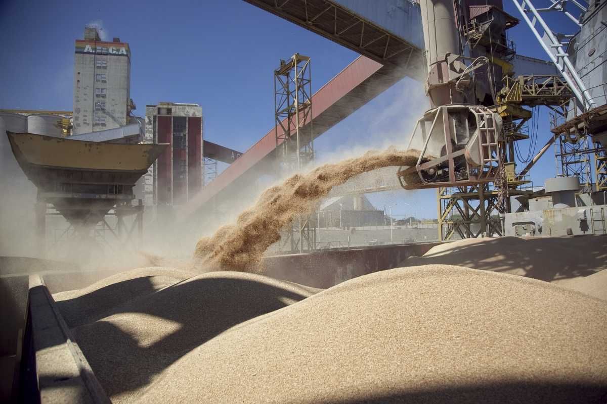 La exportaciones de soja sufren una caída de US$ 7.300 millones por efecto de la sequía