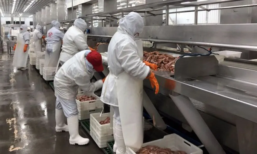Empresarios de la Patagonia se reunirán por la baja de las cargas patronales