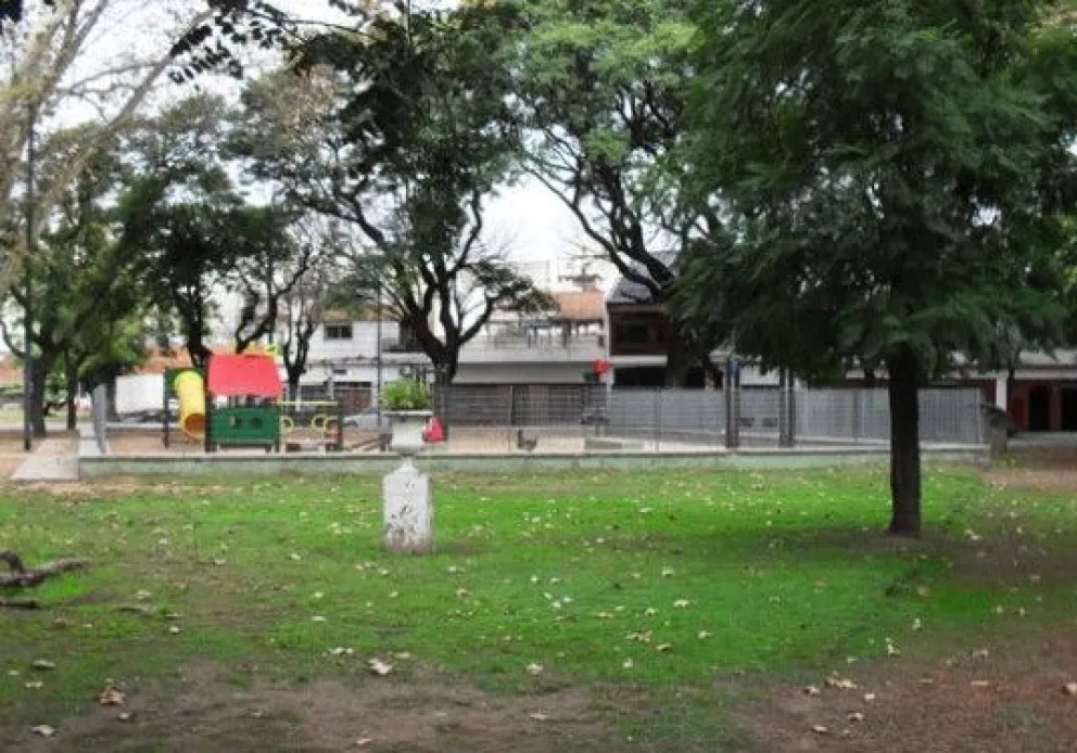 El Municipio licitó invernaderos para fortalecer el Plan de Arbolado Urbano