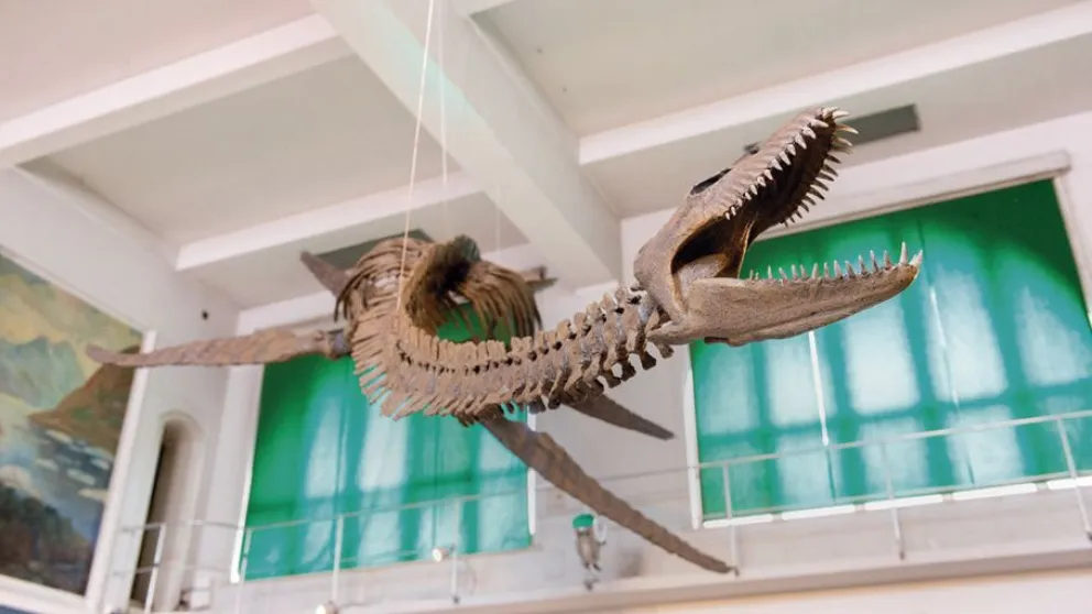 Presentaron un Plesiosaurio encontrado en Lago Argentino
